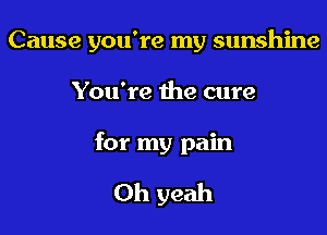 Cause you're my sunshine

You're the cure

for my pain

Oh yeah