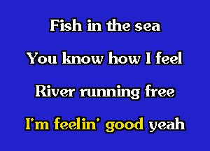 Fish in the sea
You know how I feel

River running free

I'm feelin' good yeah I