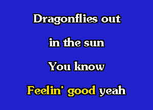 Dragonflies out
in the sun

You know

Feelin' good yeah