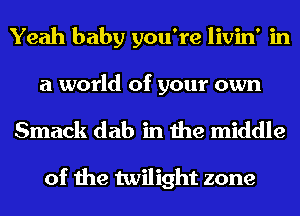 Yeah baby you're livin' in
a world of your own
Smack dab in the middle

of the twilight zone