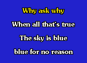 Why ask why
When all that's true

The sky is blue

blue for no reason