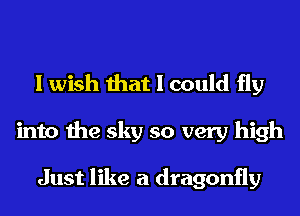 I wish that I could fly
into the sky so very high

Just like a dragonfly