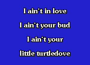 I ain't in love

I ain't your bud

I ain t your

little turtledove