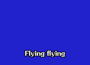 Flying flying