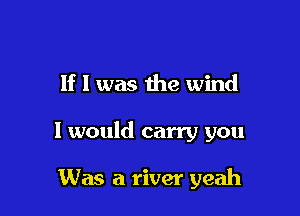 If I was the wind

I would carry you

Was a river yeah