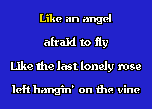 Like an angel
afraid to fly
Like the last lonely rose

left hangin' on the vine