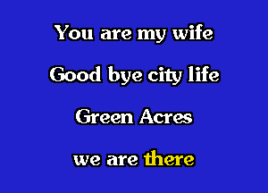 You are my wife

Good bye city life

Green Acres

we are there