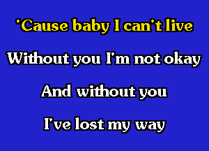 'Cause baby I can't live
Without you I'm not okay
And without you

I've lost my way