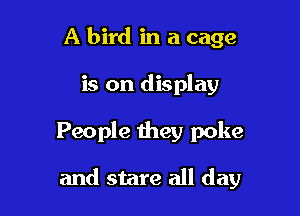 A bird in a cage
is on display

People they poke

and stare all day