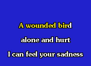 A wounded bird

alone and hurt

I can feel your sadness