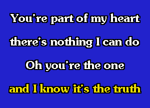 You're part of my heart
there's nothing I can do
Oh you're the one

and I know it's the truth