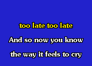 too late too late

And so now you know

the way it feels to cry