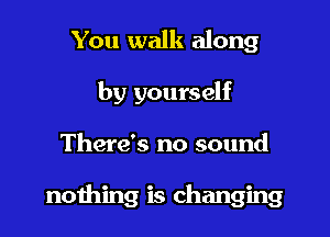 You walk along
by yourself

There's no sound

nothing is changing