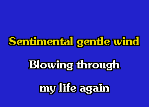 Sentimental gentle wind
Blowing through

my life again