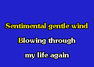 Sentimental gentle wind
Blowing through

my life again