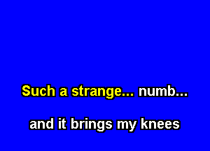 Such a strange... numb...

and it brings my knees