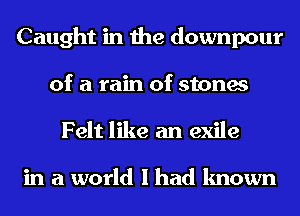 Caught in the downpour
of a rain of stones

Felt like an exile

in a world I had known