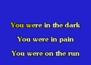 You were in the dark

You were in pain

You were on 1119 run