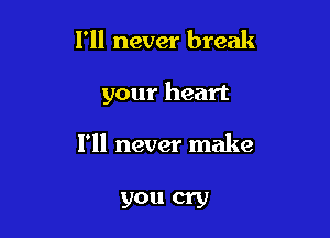 I'll never break

your heart

1' never make

you cry