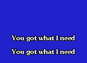 You got what I need

You got what I need