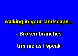 walking in your landscape...

- Broken branches

trip me as I speak