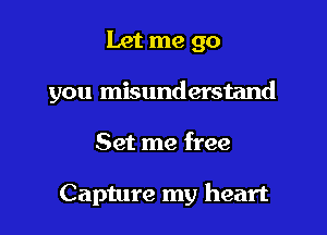 Let me go
you misunderstand

Set me free

Capture my heart
