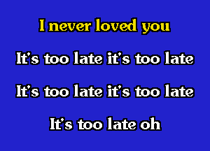 I never loved you
It's too late it's too late
It's too late it's too late

It's too late oh