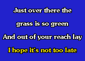 Just over there the
grass is so green
And out of your reach lay

I hope it's not too late