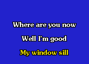 Where are you now

Well I'm good

My window sill