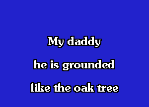 My daddy

he is grounded

like the oak tree