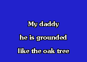 My daddy

he is grounded

like the oak tree