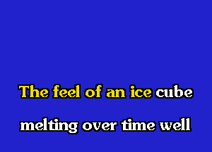 The feel of an ice cube

melting over time well
