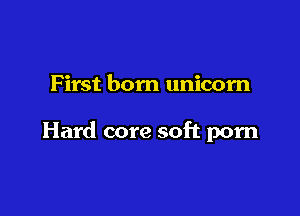 First born unicorn

Hard core soft porn