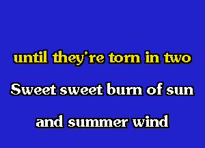 until they're torn in two
Sweet sweet burn of sun

and summer wind