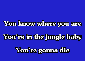 You know where you are
You're in the jungle baby

You're gonna die