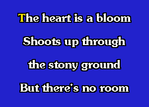 The heart is a bloom
Shoots up through
the stony ground

But there's no room