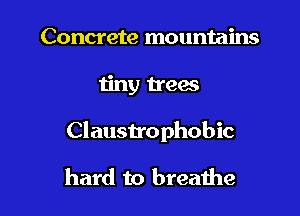 Concrete mountains

tiny trees

Claustrophobic

hard to breathe