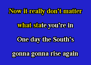 Now it really don't matter
What state you're in
One day the South's

gonna gonna rise again