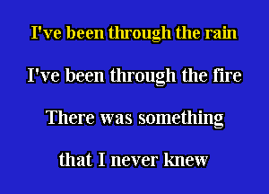 I've been through the rain
I've been through the tire

There was something

that I never knew