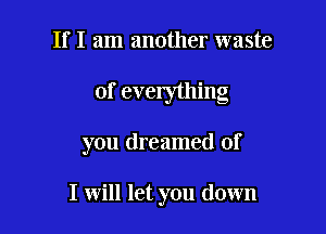 If I am another waste

of everything

you dreamed of

I will let you down