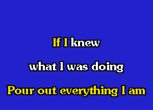 If I knew

what 1 was doing

Pour out everyihing I am