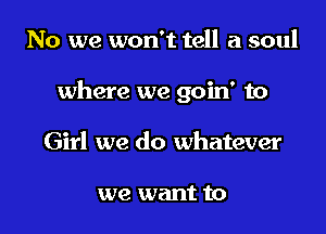 No we won't tell a soul

where we goin' to

Girl we do whatever

we want to