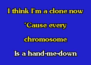 I think I'm a clone now
'Cause every
chromosome

Is a hand-me-down