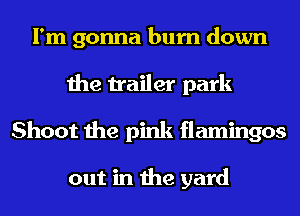 I'm gonna burn down
the trailer park
Shoot the pink flamingos

out in the yard