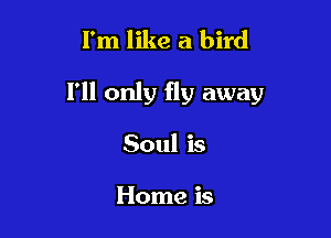 I'm like a bird

111 only fly away

Soul is

Home is