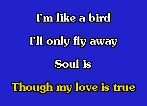 I'm like a bird

I'll only fly away

Soul is

Though my love is true