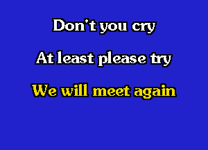 Don't you cry

At least please try

We will meet again