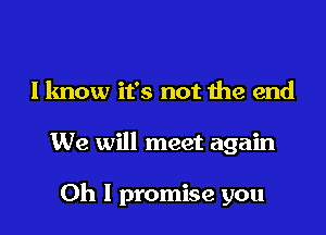 I know it's not the end

We will meet again

Oh I promise you