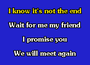 I know it's not the end
Wait for me my friend
I promise you

We will meet again