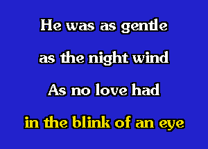 He was as gentle
as the night wind
As no love had

in the blink of an eye